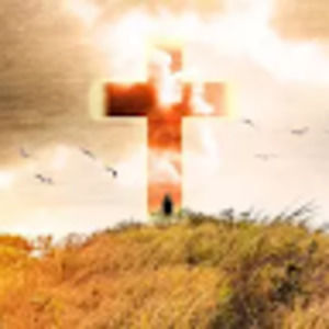 Meet your Posher, Arthur